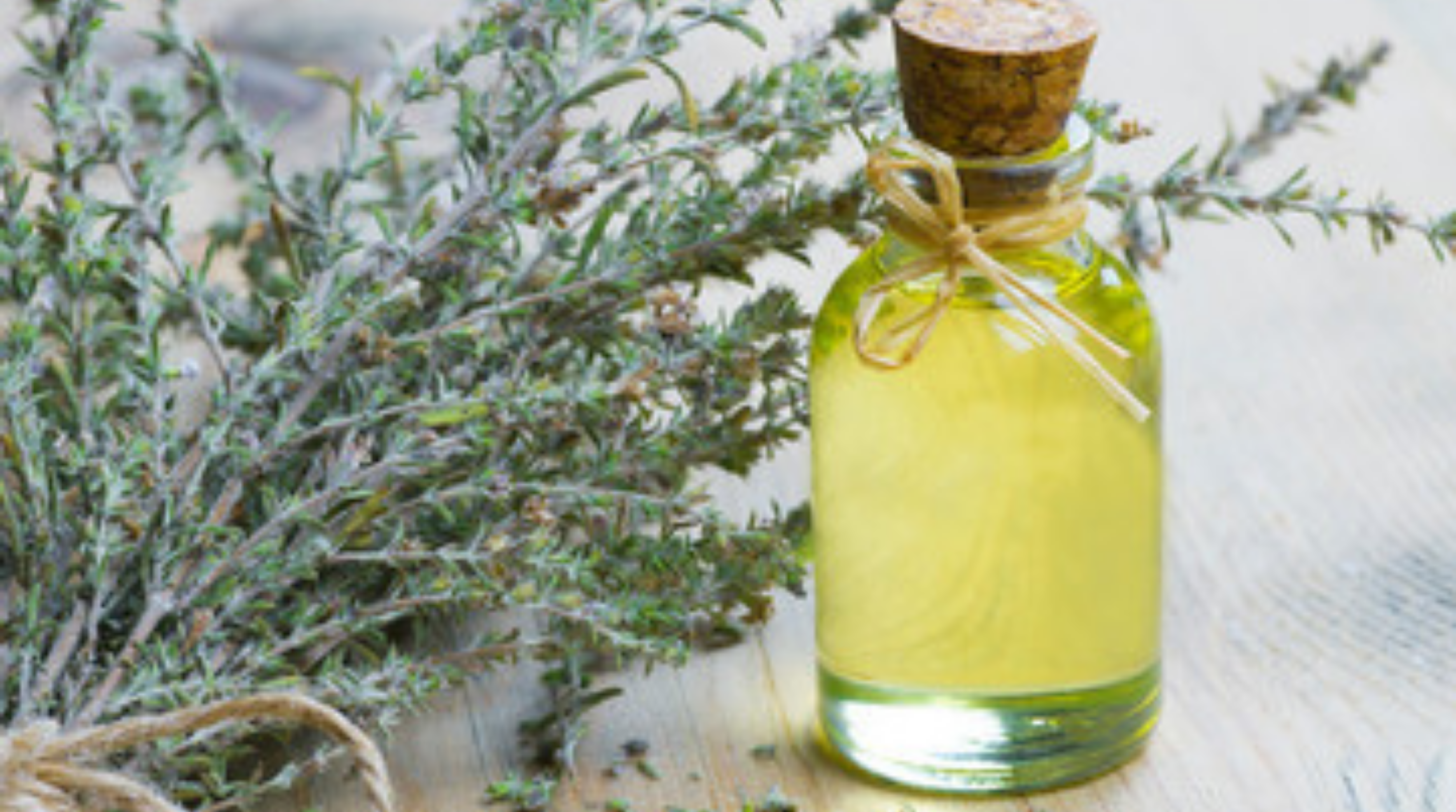THE 8 BEST OILS FOR NATURAL HAIR