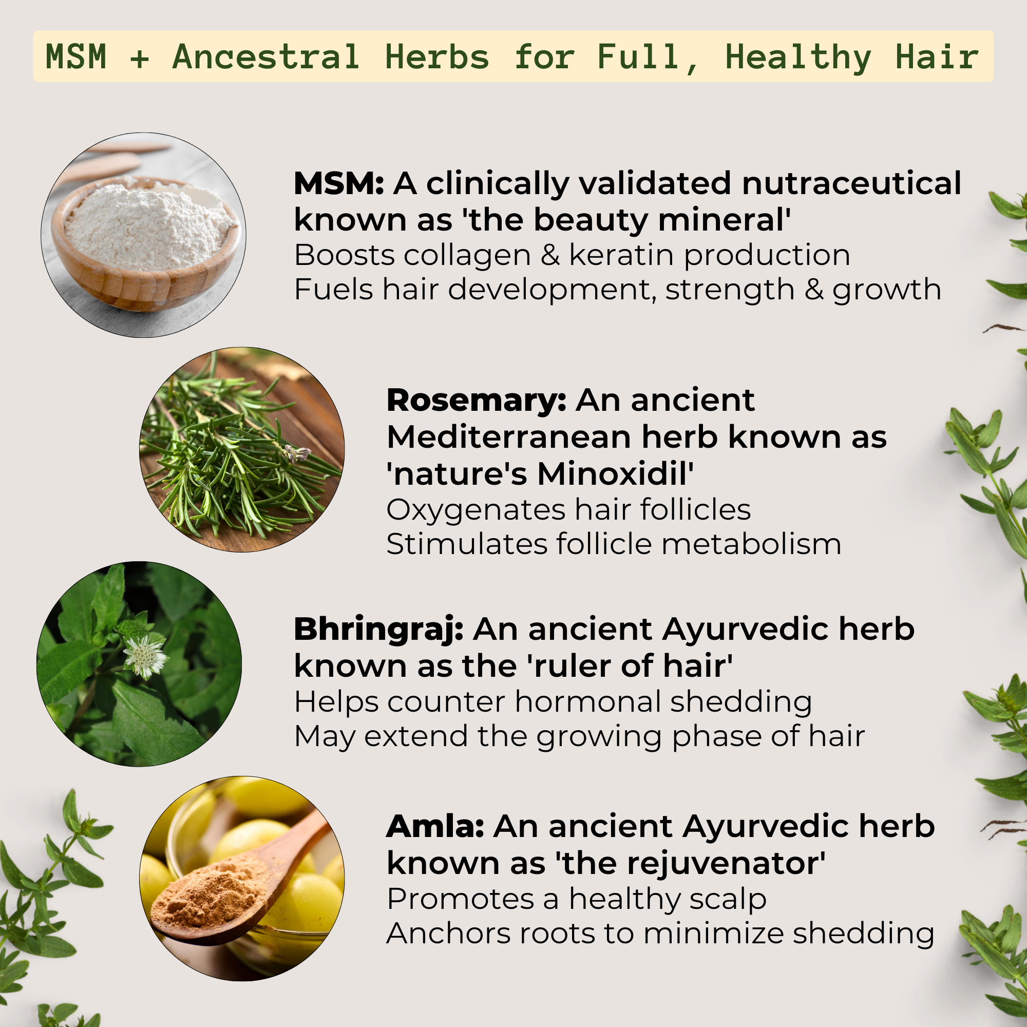 MSM + ROSEMARY | Scalp Nutrients Balm - Qhemet Biologics