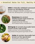 MSM + ROSEMARY | Scalp Nutrients Balm - Qhemet Biologics