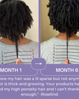 MSM + BIOTIN | Hair Nutrients Drink Mix - Qhemet Biologics