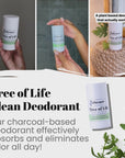 Tree Of Life Clean Deodorant