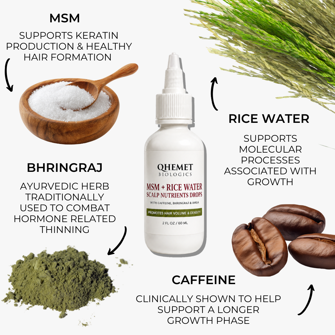 MSM + Rice Water Scalp Nutrients Drops - Qhemet Biologics